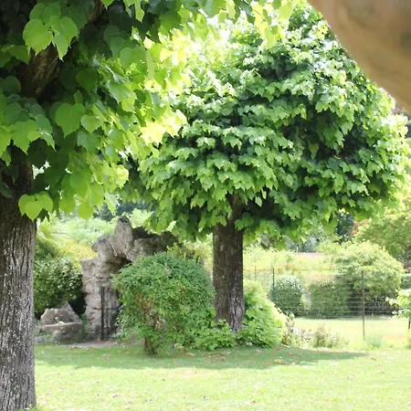 I Due Tigli 3* Travedona